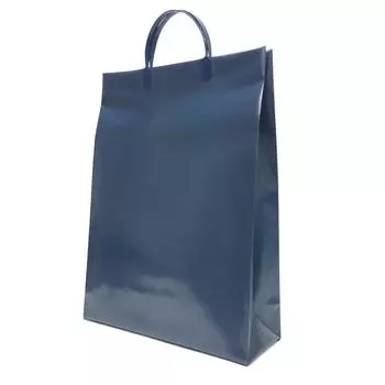 Matsushiro Carrying Bag Plain Vinyl Bag Con 10 Pieces L Size BLN-10P