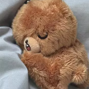 Мечтающие Медведи Тоже