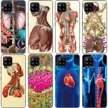 Медицинский чехол с меридианом почек и мозга для Samsung Galaxy A12 A02S A22 A32 A52 A72 A71 A51 A41 A31 A21 A11 A50 A70 Samsung A41