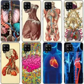 Медицинский чехол с меридианом почек и мозга для Samsung Galaxy A12 A02S A22 A32 A52 A72 A71 A51 A41 A31 A21 A11 A50 A70 Samsung A02