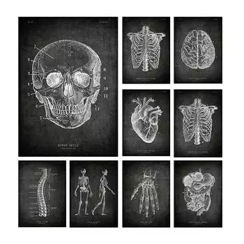 Медицинский художественный постер, человеческое сердце, позвоночник, холст, картина, настенная художественная печать, картина для современной гостиной, домашний декор, Куадрос 21cm30cm NoFrame