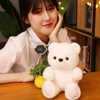 Медведь Медведь Мягкая игрушка Мультяшный медведь Животное Плюшевая игрушка Свадебный декор Маленький медведь Плюшевая кукла Девочки белый