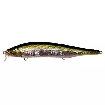 Megabass ITO Shiner SSR GG Tennessee Shad