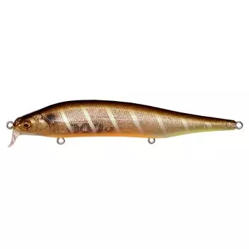 Megabass ITO SHINER SSR GLX Galaxy Shiner