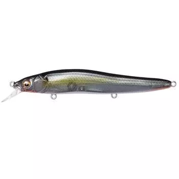 Megabass Lure ONETEN R Jukucho Shad