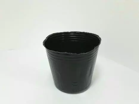 Meiwa Polypot Kuromaru 9cm 100 pieces [item] чёрный