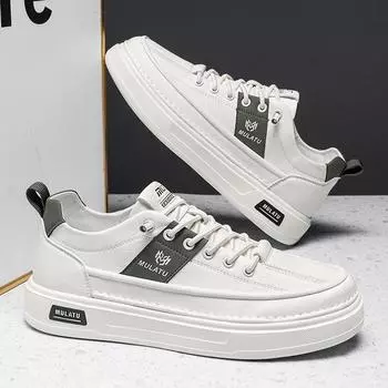 Men s shoes 2025 new spring and autumn tide brand high-end versatile white shoes heightening sports and leisure leather versatile board shoes 39