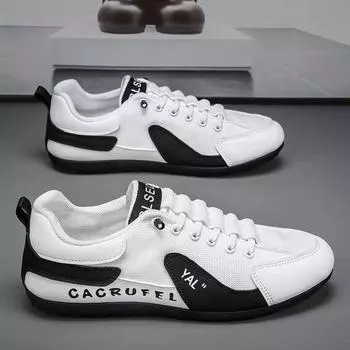 Men s shoes Guochao 2024 new summer breathable mesh low-top board shoes Korean version comfortable casual shoes Forrest Gump shoes 39
