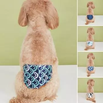 Менструальные штаны для домашних животных, подгузники для собак, моющиеся многоразовые гигиенические штаны, дышащие трусики для собак, регулируемое физиологическое нижнее белье, бандаж для живота M