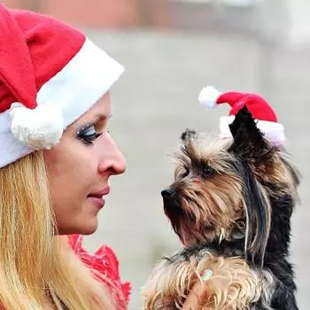 Merry Christmas! Pet Dog Pet Cat Christmas Hat with Pets Welcome New Year!