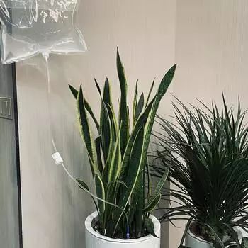 Мешок с водой для полива сада, автоматическая капельная стрелка, автоматическое устройство для полива, инструмент для полива цветов, инструменты для орошения растений, комплекты капельниц, комплект для ленивой посадки Single drop