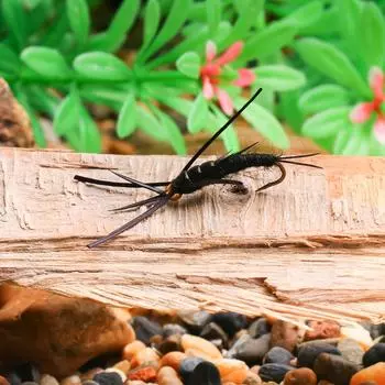 Место для рыбалки нахлыстом