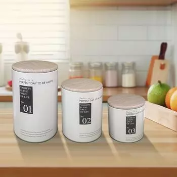 Металлическая банка-контейнер для печенья, банка для хранения продуктов, кухонная канистра, 3 шт., экологически чистые металлические пищевые канистры, прилавок United States