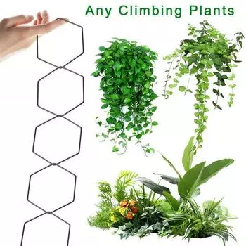 Металлическая цепная решетка для вьющихся растений, внутренняя шестиугольная кольцевая опорная рама для растений, настенное крепление для растений, решетка для выращивания плюща потоса 10pcs