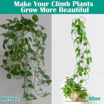 Металлическая цепная решетка для вьющихся растений, комнатная шестиугольная кольцевая опорная рама для растений, настенное крепление для растений 10pcs