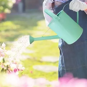 Металлическая лейка для растений с ручкой, большая емкость, нержавеющая, устойчивая к коррозии, распылительная бутылка для полива растений зелёный