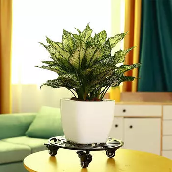 Металлическая подставка для растений с колесами, роликовая тележка для растений, круглая, кованое железное основание на роликах, на колесах