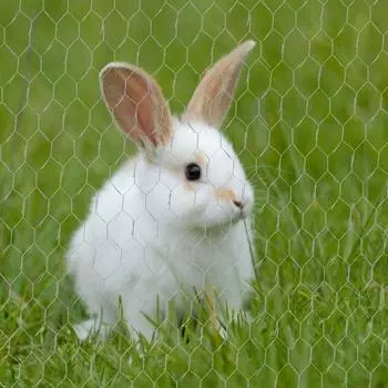 Металлическая сетка для ограждения из проволочной сетки своими руками, шестиугольная, прочная, легкая, защитная сетка для животных и сельскохозяйственных культур для сада серебряный