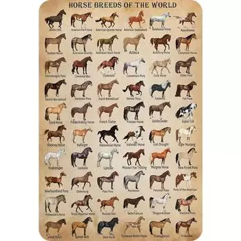 Металлическая жестяная табличка с изображением животных, прямоугольная, железная, настенная, декор для домашнего бара, 20x30 см, НОВАЯ 2