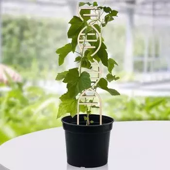 Металлические растения Трельяж Полый витой Крытый Открытый Горшечные цветы Растения Вьющиеся Небольшие комнатные растения Виноградная лоза Плющ Опора Колья Садовые принадлежности чёрный