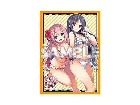 MF Bunko J Summer School Festival 2017 Sleeve Collection Welcome to the classroom where ability is paramount Horikita Swimsuit & Ichinose