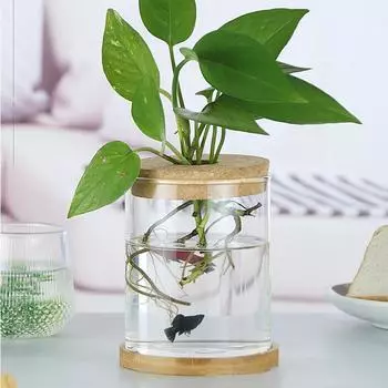 Микропейзажная стеклянная экологическая бутылка, круглая ваза для цветов, гидропонный контейнер