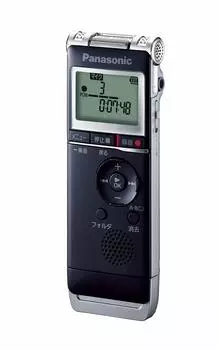 Микросхема диктофона Panasonic (черный) RR-XS370-K чёрный