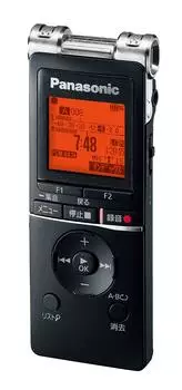 Микросхема диктофона Panasonic RR-XS470-K чёрный