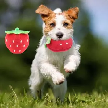 Милая игрушка для кошек в виде клубники, мягкая игрушка в виде клубники, пищащая игрушка для домашних животных, жевательная игрушка для собак, самодовольная красный