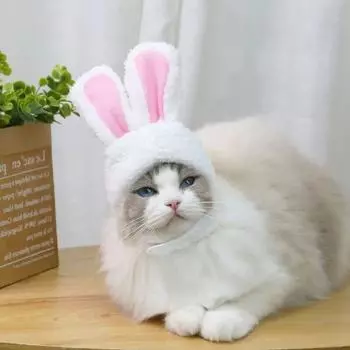 Милая кепка с котом, костюм кролика, теплая шапка, новогодний праздничный головной убор, реквизит для косплея, головные уборы, аксессуары для домашних животных, котенка, поставки белый