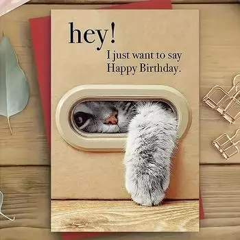 Милая кошачья открытка на день рождения, игривый дизайн кошачьей лапки, открытка с днем рождения с конвертом, лучший подарок для любителя кошек, семьи, друзей