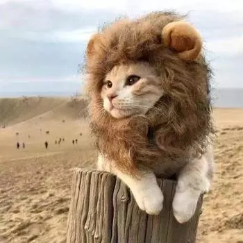 Милая кошачья шапка, забавный Хэллоуин, косплей, лев, шарф, парик для маленьких собак, кошек, котят, щенков, головной убор, мопс, креативная одежда, аксессуары S коричневый