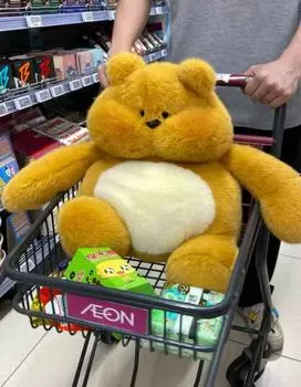 Милая мультяшная плюшевая игрушка «Волосатый медведь», Плюшевый медведь Пир, Успокаивает детей, Спящая подушка для бросания, Тряпичная кукла, Подарок 25cm