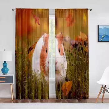 Милая прозрачная вуаль-занавеска в виде морской свинки, милые шифоновые шторы из тюля для гостиной, кухни, спальни, декора, занавески 1 PCS W100XH250cm&Rod Pocket