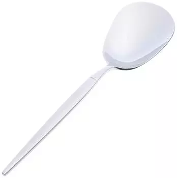 Miltor Service Spoon 0-12539-500
