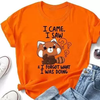 Милые футболки с изображением енота «Я пришел и увидел» для женщин, летняя футболка, женские повседневные футболки с коротким рукавом и круглым вырезом S серый