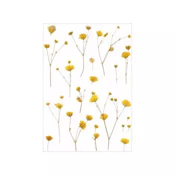 Милые наклейки с изображением домашних животных в виде ромашек для прозрачного скрапбукинга Изысканные и милые цветы для скрапбукинга