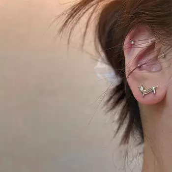 Милые серебряные серьги для собак таксы Y2K для девочек, милые серьги-гвоздики для домашних животных 1Pair