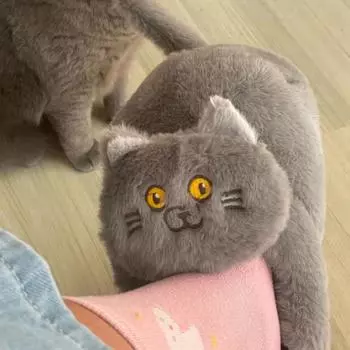 Милые тапочки-обнимашки для кошек, унисекс, зимняя домашняя обувь, кавайные пушистые тапочки для девочек, белые пушистые мюли, забавный подарок на день рождения One Size