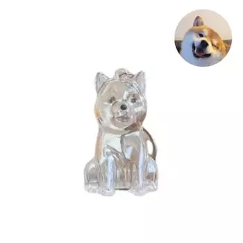 Милый брелок для хранения шерсти собаки, прозрачная капсула для хранения шерсти питомца, подвеска-мешочек для сувенирной коллекции, подарок, мемориальное украшение A1