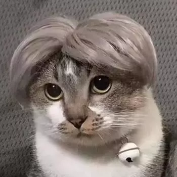 Милый центральный сплит, парик для кошек и собак, одежда для домашних собак, кошек, шляпа, одежда для кошек, собак, необычные товары для домашних животных, парик для ролевых игр, аксессуары для танцевальной вечеринки, украшения для собак, волосы