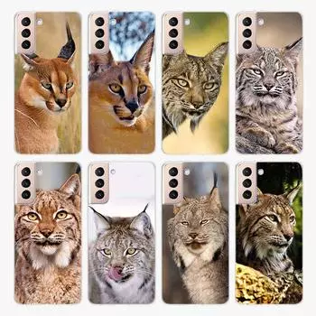 Милый чехол с изображением канадской рыси для Samsung Galaxy S22 Pro S21 S20 FE Ultra S10 S10E Lite S9 S8 Plus S7 S6 Edge, мягкий чехол для телефона Samsung S6