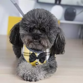 Милый дизайн с бантом, удобный для ношения на груди для собак, поводок для кошек, тяговый поводок для улицы S синий