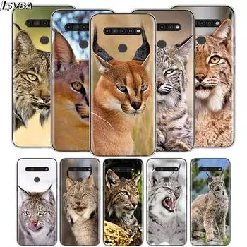 Милый канадский рысь для LG V60 V50S V50 G8X G8S G8 G7 ThinQ 5G K61 K51S K41S K30 K20 Q60 Q9 мягкий чехол для телефона LG V60 ThinQ 5G