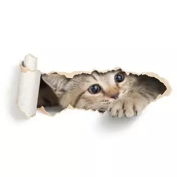 Милый кот 3D треснувший унитаз наклейки на стену холодильник автокресло DIY гостиная ванная комната домашний декор настенные наклейки спальня 20x30cm