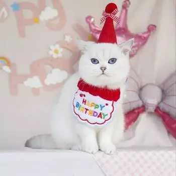 Милый праздничный комплект нагрудников для питомца на день рождения с праздничной шапочкой, вышивка «С днем рождения», спандекс и полиэстер One-size зелёный