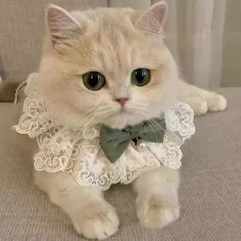 Милый шарф для кошек, ювелирные изделия, шелковая свадебная лента для кошек, щенков, шарф, кулон, ожерелье с бантом для питомца, атласные аксессуары для котят, галстук-бабочка, подарок CM