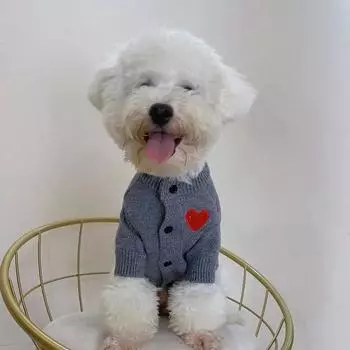 Милый вязаный свитер для собак и кошек, осень/зима, модная теплая защитная одежда, пальто для домашних животных, куртки, модный бренд, в наличии L (recommended 4.50 kg-6.50 kg