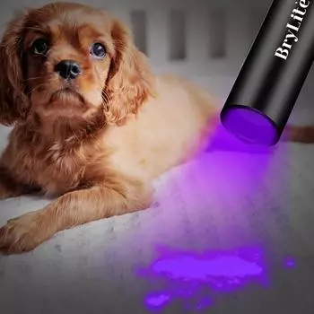 Мини 365 нм УФ-фонарик Blacklight перезаряжаемый инспекционный фонарь детектор мха для кошек собак пятна постельных клопов заплесневелая еда