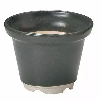 Мини-цветочный горшок aito Seisakusho, 8 x 6 см, мох, посуда Seto, можно мыть в посудомоечной машине, можно использовать в микроволновой печи, сделано в Японии 288118 «Kei», прибл.